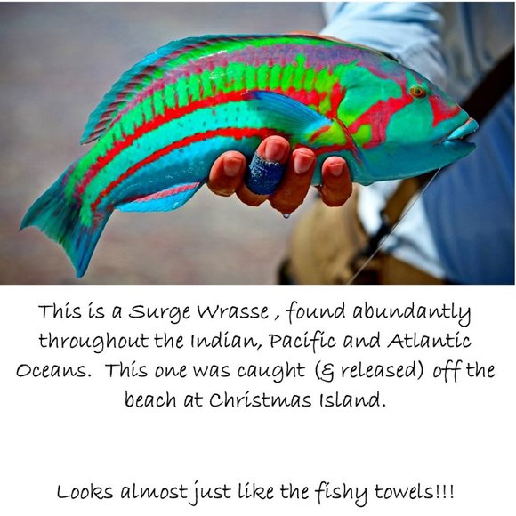 🐟 Pair of Fishy Guest Towels, NWOT 🐟 - Picture 2 of 10